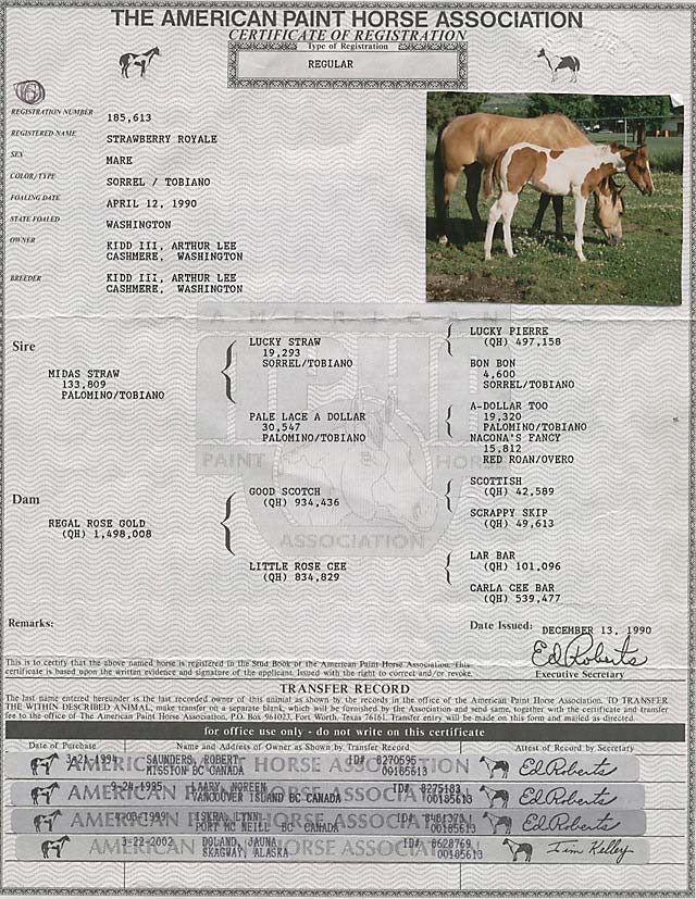 Cash Pedigree