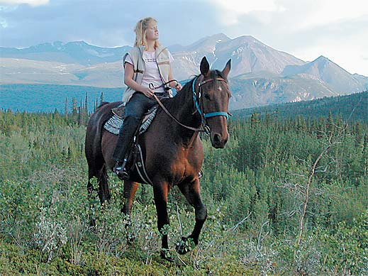 Horse Photo