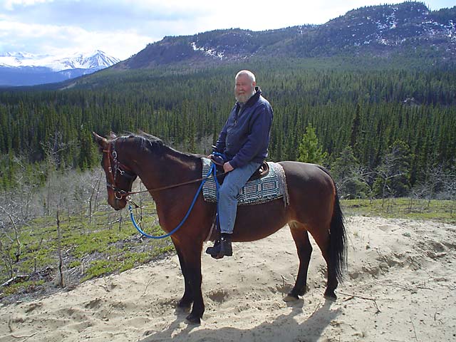 Horse Photo
