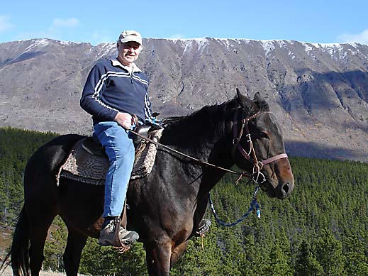 Horse Photo