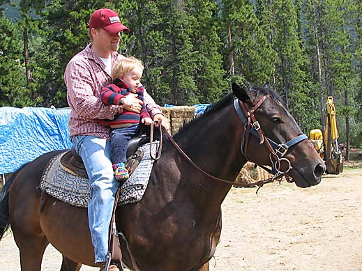 Horse Photo
