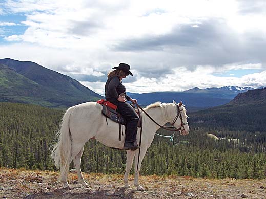 Horse Photo