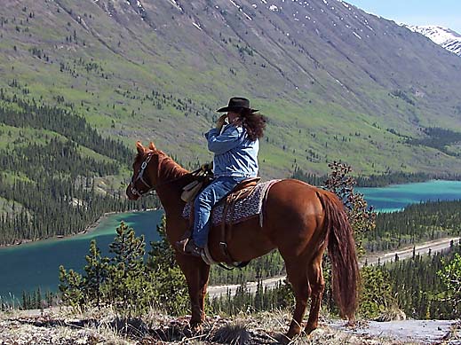 Horse Photo